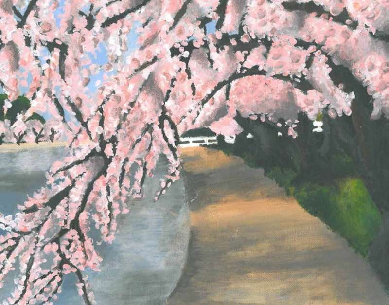Gallery photo 12