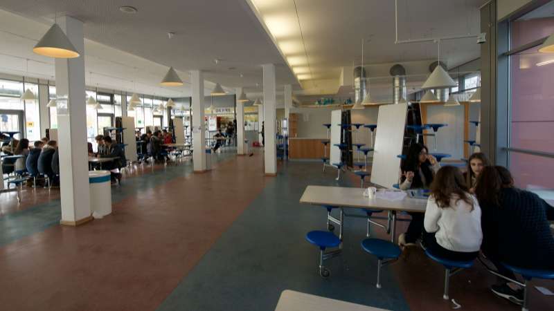 Gallery photo 8